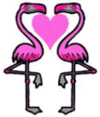 two pink flamingos are standing next to each other with a pink heart in the middle .