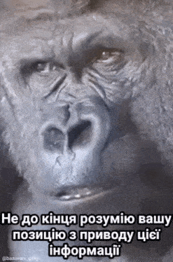 a painting of a gorilla with a caption in russian