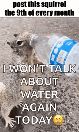a squirrel is holding a bottle of water and says `` i won t talk about water again today '' .
