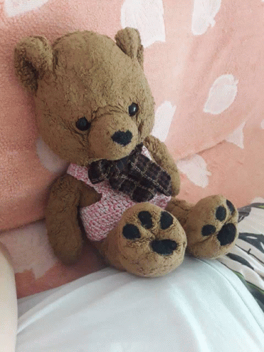 Teddy Bear GIF
