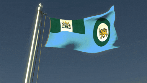 a blue green and white flag with a yellow lion on it