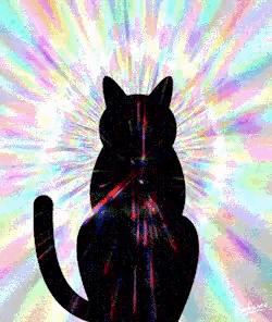 a silhouette of a cat with a colorful background