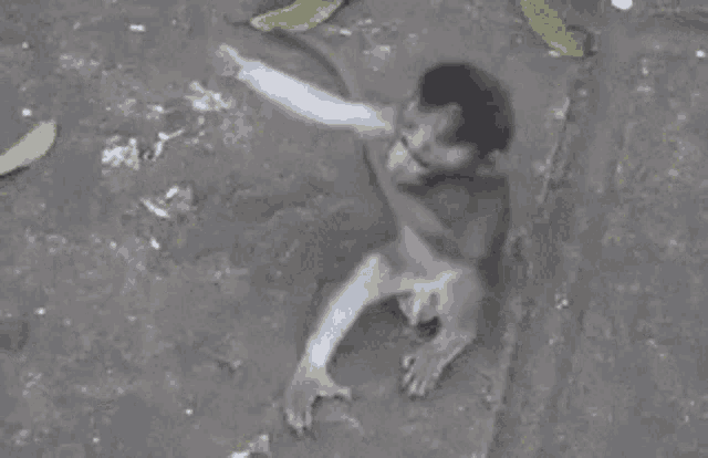 a small monkey is sitting on a concrete surface with leaves in the background