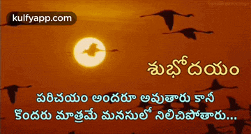 a picture of flamingos flying in front of the sun with the words kulfyapp.com