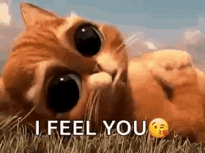 a cat is laying in the grass with the words `` i feel you '' written next to it .