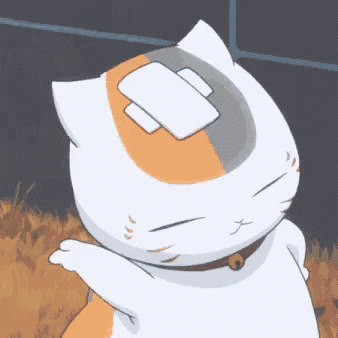 a white cat with a bandage on its head
