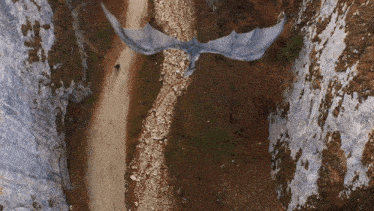 a dragon is flying over a dirt road in a canyon