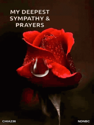 Deepest Sympathy Rip GIF - Deepest Sympathy Rip Sorry For Your Loss GIFs