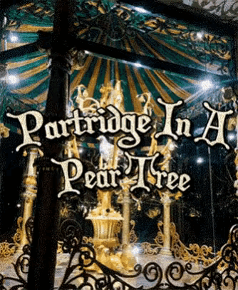 Partridge In A Pear Tree GIF - Partridge In A Pear Tree GIFs