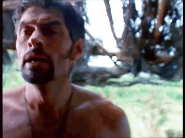 a man with a beard without a shirt is standing in a field