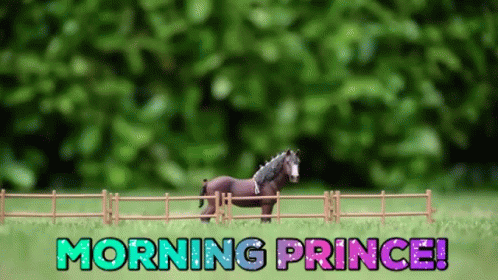 Good Morning GIF - Good Morning Horse GIFs