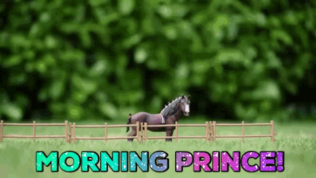 a toy horse standing in a field with the words morning prince written above it
