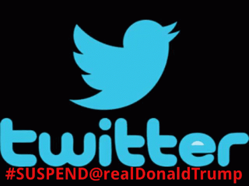 Twitter Suspend Trump GIF - Twitter Suspend Trump Vulger Propaganda GIFs