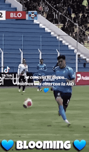 a soccer player kicks a ball on a field with the words blooming in the bottom right corner
