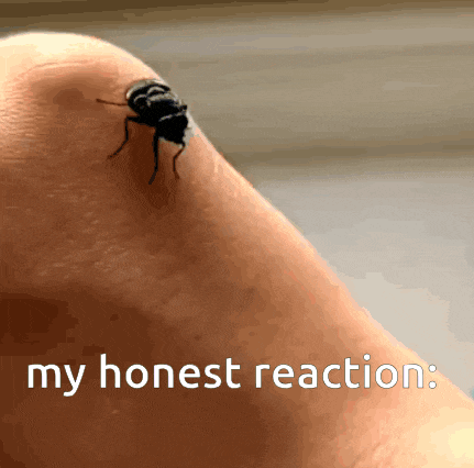 a close up of a bug on a person 's arm with the words my honest reaction