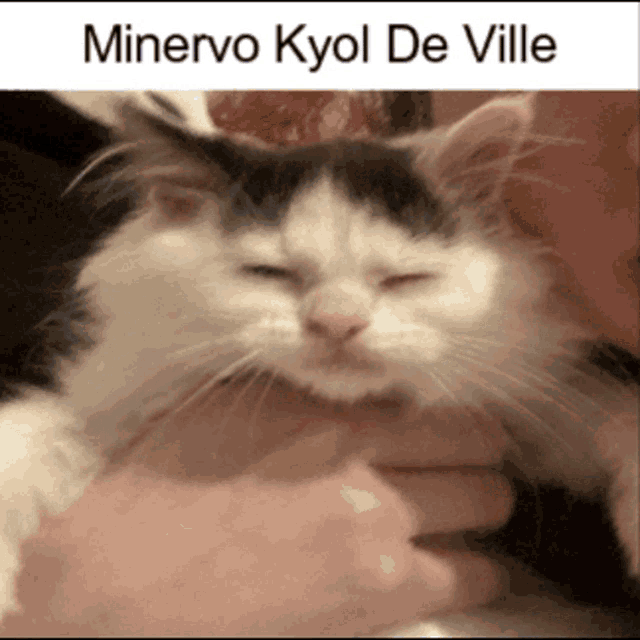 Minervo Kyol De Ville GIF - Minervo Kyol De Ville GIFs