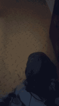 Politics Sleepy GIF