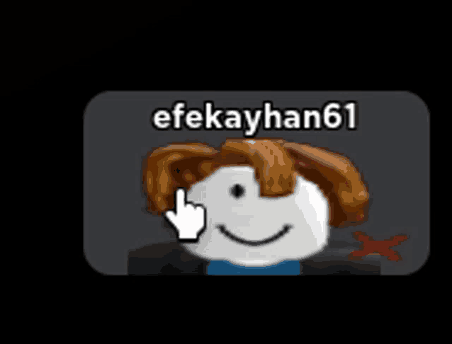 a picture of a roblox character with the name efekayhan61 written on it