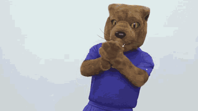 a mascot wearing a purple shirt that says pitt on it