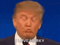 donald trump is making a funny face while giving a speech .
