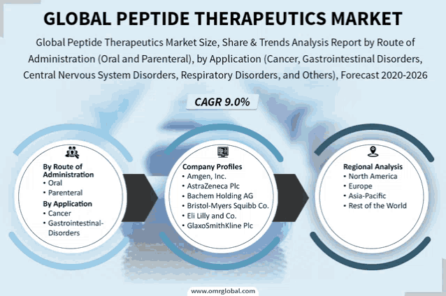 a graphic showing the global peptide therapeutics market
