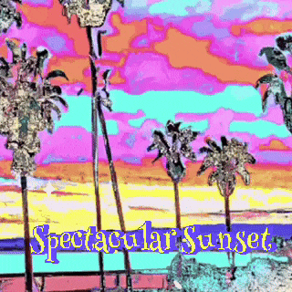 a colorful sunset with palm trees and the words spectacular sunset on the bottom
