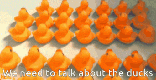 James Veitch We Need To Talk GIF - James Veitch We Need To Talk About The Ducks GIFs