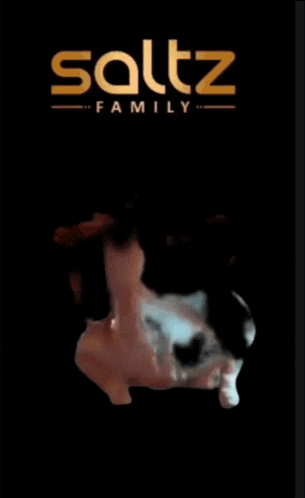 a saltz family ad with a picture of a chicken on it