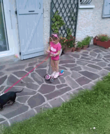 Scooter Drag GIF - Scooter Drag Dog GIFs