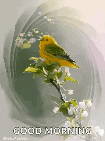 a yellow bird is perched on a tree branch with flowers and leaves .