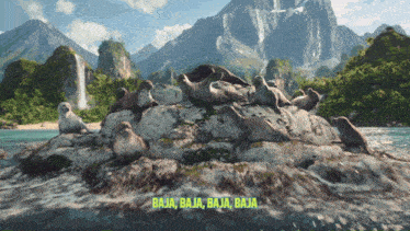 a bunch of seals sitting on a rock with baja baja baja baja