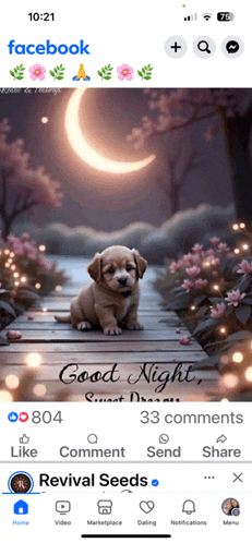 a facebook page with a picture of a puppy and the words good night sweet dreams