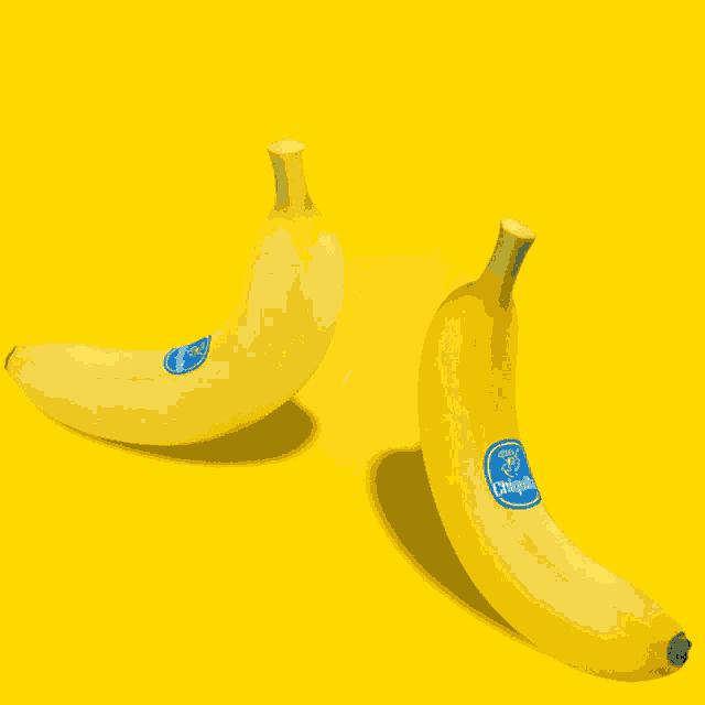 two chiquita bananas on a yellow background