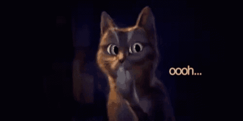 a cat with a surprised look on its face and the words oooh written below it .