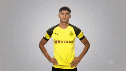 Bvb Dortmund GIF - Bvb Dortmund Borussia GIFs