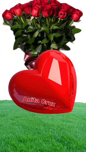 a red heart that says anita cruz next to a bouquet of roses