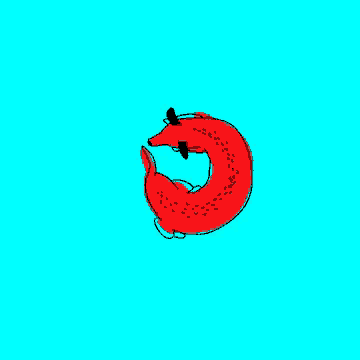 a cartoon drawing of a red fox with a blue background