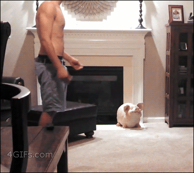 Boink!! GIF - Cats Guy Dancing GIFs