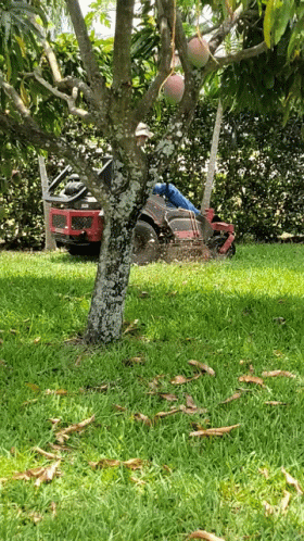 Landscaping GIF - Landscaping GIFs