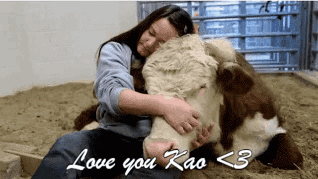 a woman is hugging a brown and white cow with the words love you kao < 3 written on the bottom