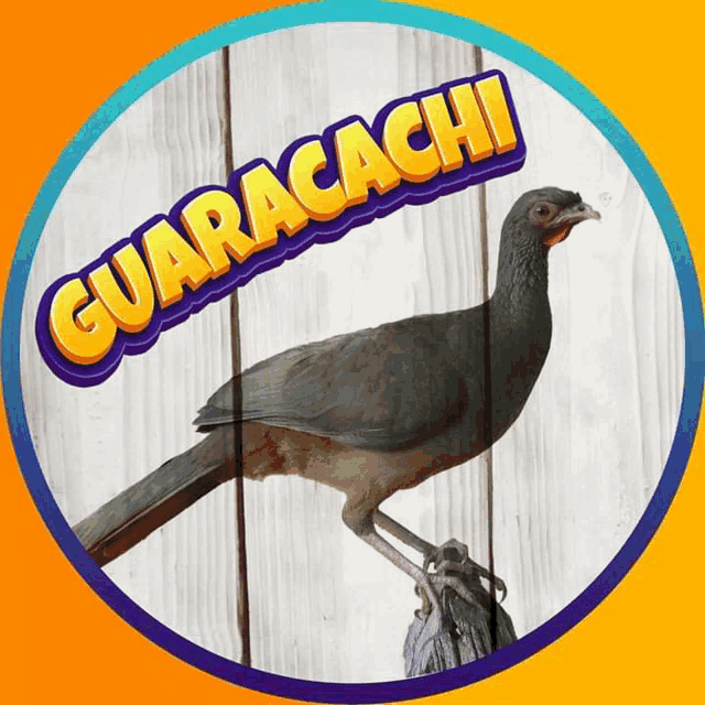 a picture of a bird with the word guaracachi written above it