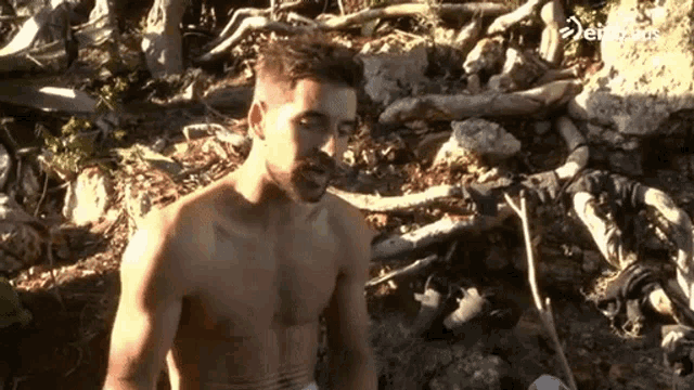 a man without a shirt is standing in the woods surrounded by rocks and branches .