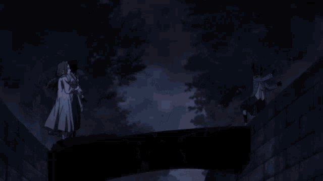 a group of people standing on top of a brick wall in the dark