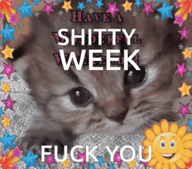 a picture of a kitten with the words " have a shitty week fuck you "
