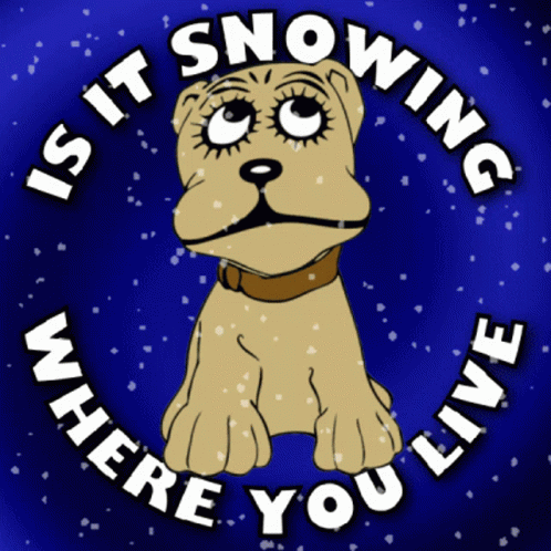 Is It Snowing Where You Live GIF - Is It Snowing Where You Live Weather Forcast GIFs