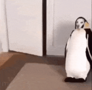 a dog dressed as a penguin is standing on a rug in a room .