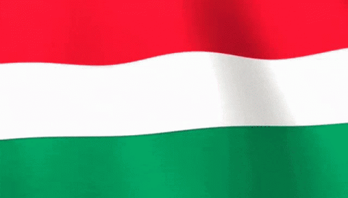 Hungary Flag GIF - Hungary Flag GIFs