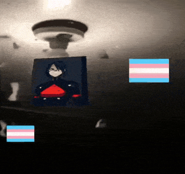a picture of a transgender person is surrounded by a transgender flag