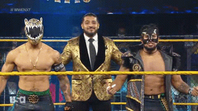a group of wrestlers are standing in a wrestling ring .