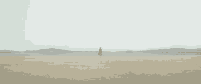 a person is standing in the middle of a desert in the fog .